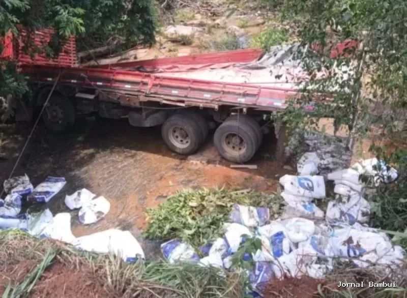 Caminhoneiro morre após caminhão cair em ribanceira na BR-354, em Formiga